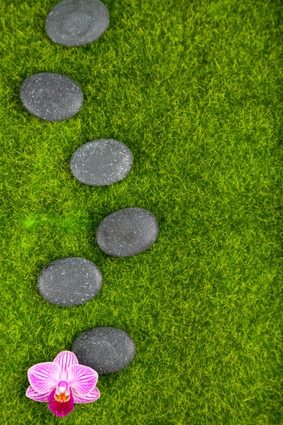 Spa stones and orchid on green grass close-up