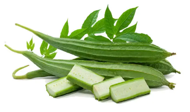 Green Luffa acutangula isolated on white background