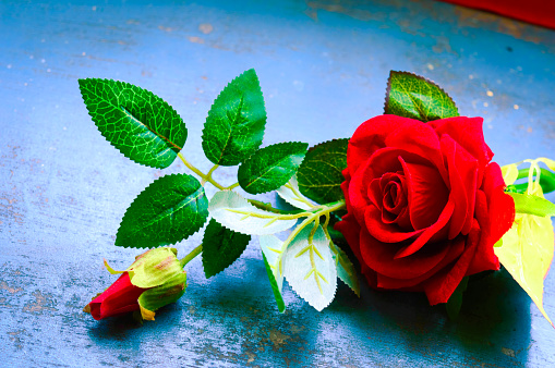 Red Rose Flower On Rustic Floor Nature Still Life Love Romantic Background  Theme Wallpaper Web Banner Design Decoration For Friendship And Valentines  Day Copy Space Room For Text For Massage Stock Photo -