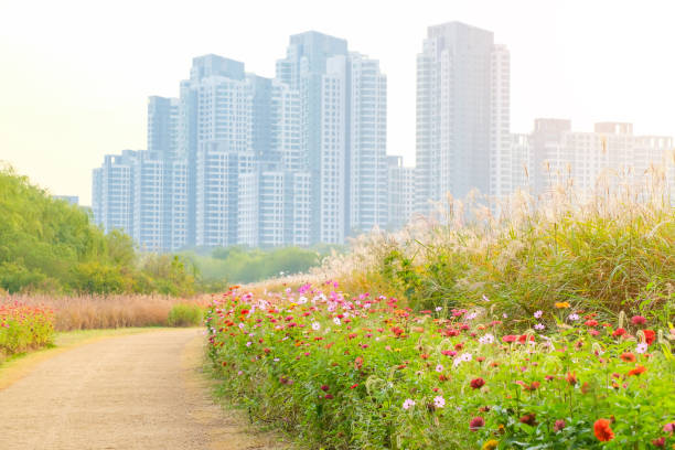 istock Road to the building with beautiful light and flower. 1223203870