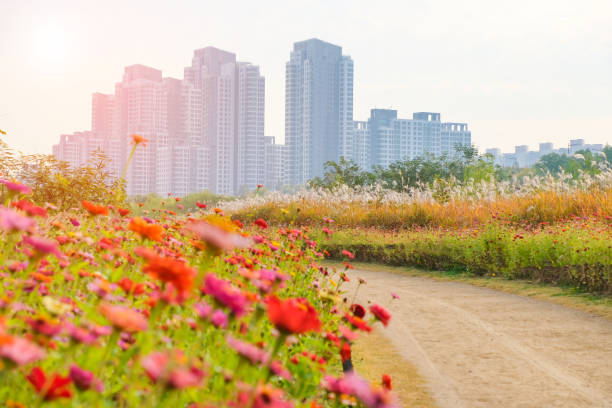 istock Road to the building with beautiful light and flower. 1223203891