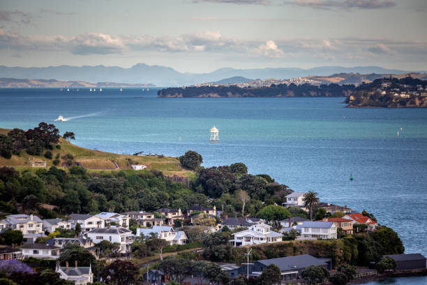 istock Auckland city view 1223205010