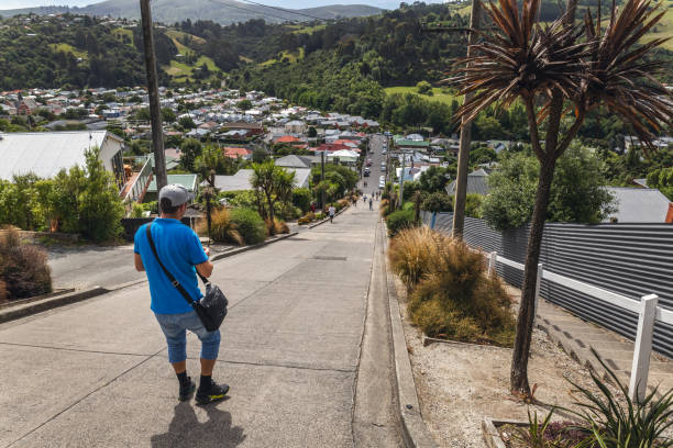 istock New Zealand editorial 1223205068