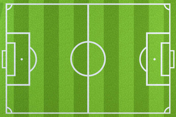 istock Top view of the empty football field, 3d rendering. 1223205417