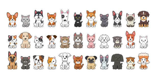 verschiedene arten von vektor cartoon katzen und hunde - hundeartige stock-grafiken, -clipart, -cartoons und -symbole