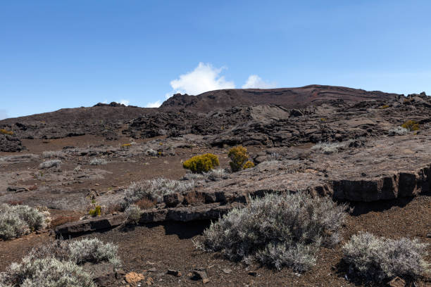 istock lava landscape, reunion island 1223205866