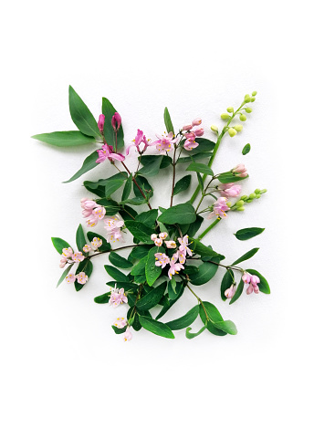 Bouquet of pink Forest Flowers and leaves Lilac and Lily of the valley on white canvas background. Poster with a central composition. Flat lay, top view card.