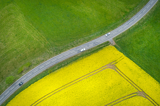 Canola fields and country road, agricultural area - aerial view