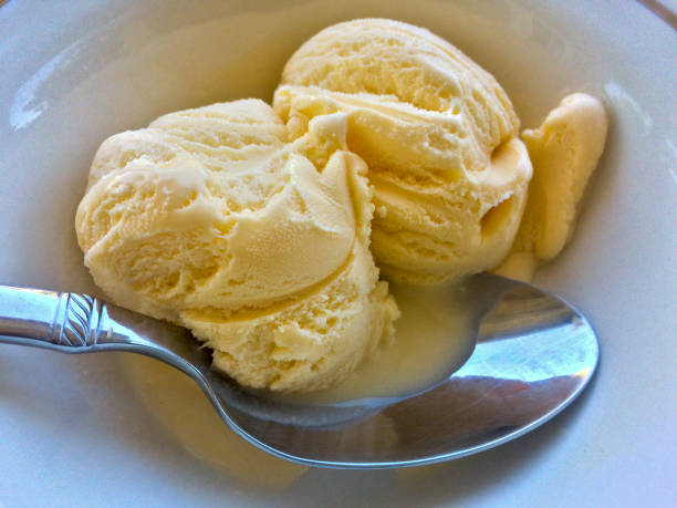 istock Vanilla ice cream in bowl with spoon 1223209039