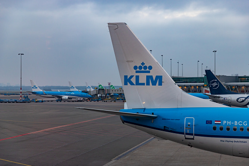 A picture of some airplanes parked at the Schiphol Airport, focused on the rudder and vertical stabilizer of a KLM model.