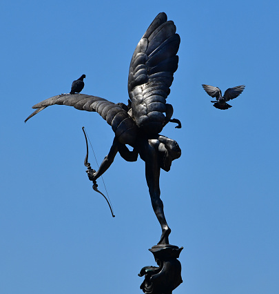 Birds take flight around the iconic Statue of Eros that has stood in Piccadilly circus since 1892