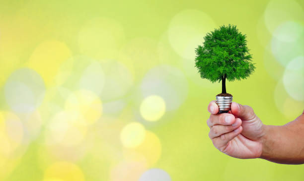 istock A tree glowing in a light bulb on green natural bokeh background. green energy for environment and save the earth ecology concept. 1223213832