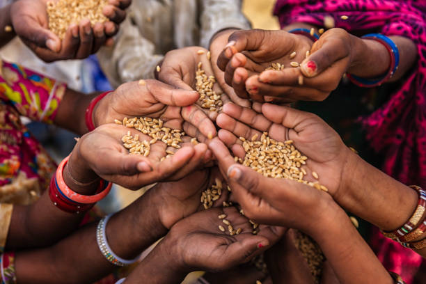 istock Poor Indian children asking for food, India 1223214213