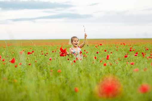 beautiful little girl with poppy flowers on meadow