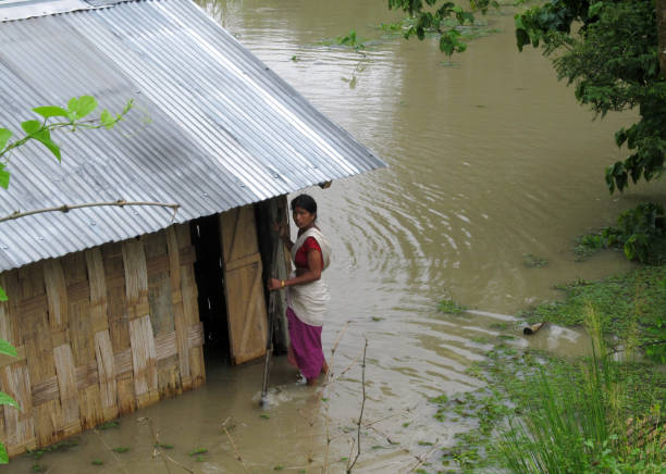 die größte bewohnte flussinsel der welt, majuli in assam, wurde durch die flut, die durch den überlauf der brahmaputra verursacht wurde, stark beeinträchtigt. - effected stock-fotos und bilder