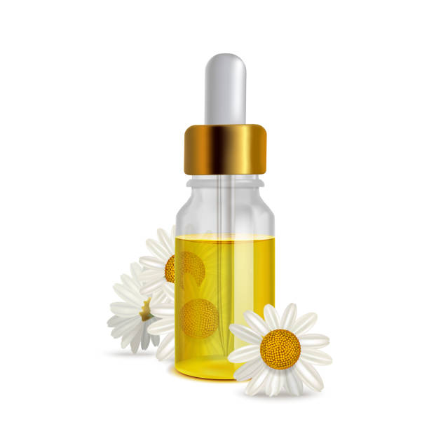 ilustraciones, imágenes clip art, dibujos animados e iconos de stock de botella de aceite de manzanilla con flores en estilo realista - chamomile plant glass nature flower