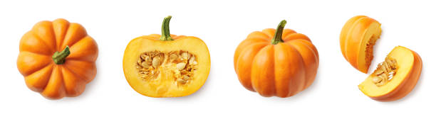 Set of fresh whole and sliced pumpkin