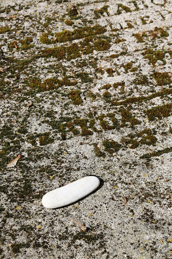 Europe. France. Ile. Paris. 08/02/2012. This colorful image depicts a pebble on a tombstone. Père Lachaise Cemetery.