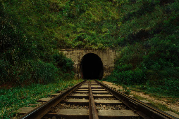 istock Railway leads into a dark tunnel amid greenery 1223218427