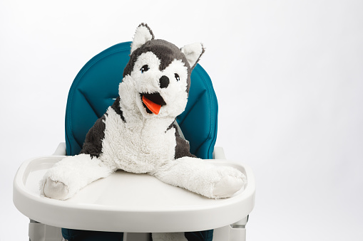 dog toy on high chair for baby, close-up view
