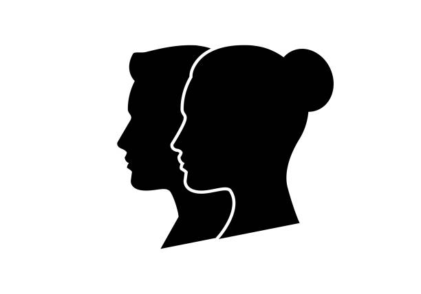 paar - ponytail side view women human head stock-grafiken, -clipart, -cartoons und -symbole