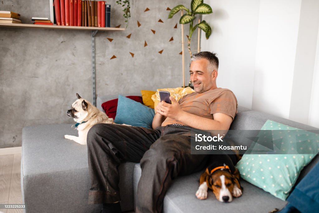 Man Watching Funny Video Clips On Internet While Relaxing In His Sofa Stock  Photo - Download Image Now - iStock