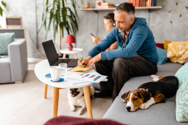 istock Beagle puppy is sad 'cause he doesn't get any attention because his owner is busy with work from home 1223226365