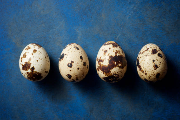 istock Close-up of some quail eggs. 1223228620