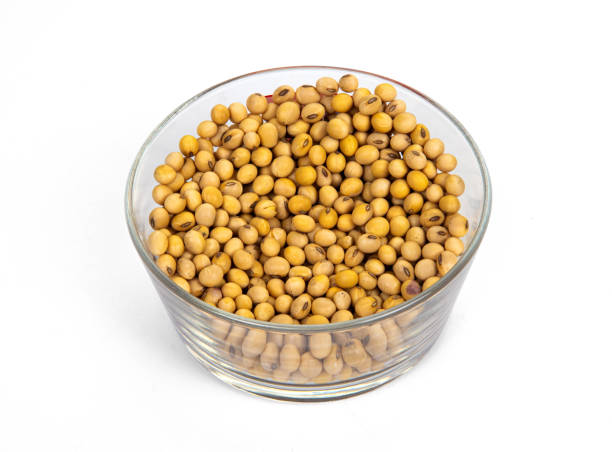istock soy beans isolated on white background 1223228973