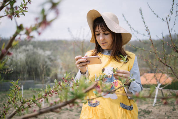 istock Lady taking photo of buds on a tree 1223229224