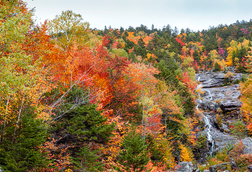 Beautiful Fall Colours surrounding this waterfall near Bartlett, New Hampshire.