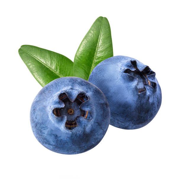 istock Blueberries with leaf isolated on white background with clipping path 1223231096