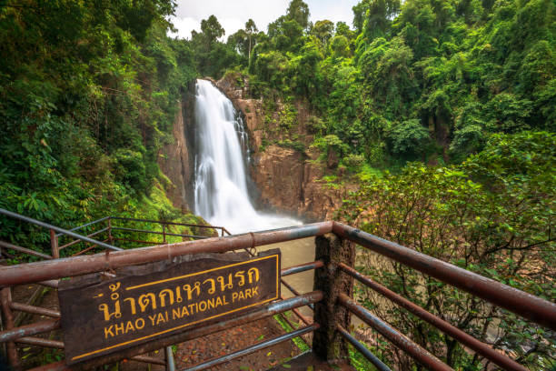 haew narok waterfall khao yai national park en tailandia. - waterfall thailand tropical rainforest tropical climate fotografías e imágenes de stock