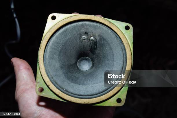 High Frequency Speaker Sovietmade 3gd31 5 Gdv18 Revision And Repair Of Vintage Acoustics Stock Photo - Download Image Now