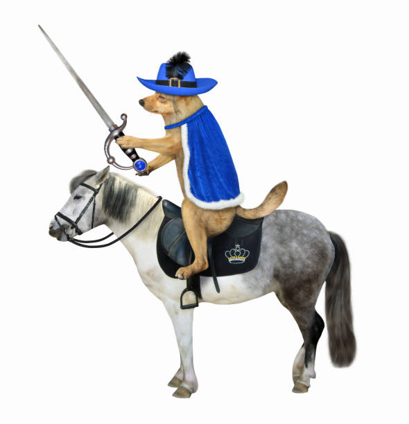 istock Dog in blue cloak rides horse 1223239126