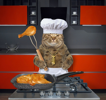 In the red kitchen the beige cat in a chef hat and an apron is standing near a gas stove on which there is a square grill pan with roasted chicken legs.