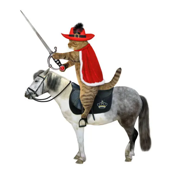The beige cat musketeer in a hat with a feather and a red cloak with a sword with a ruby rides a gray horse. White background. Isolated.