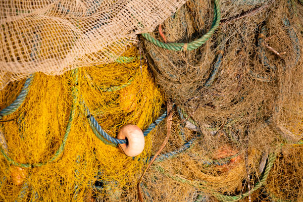 istock fishing nets and ropes by the coast 1223239473