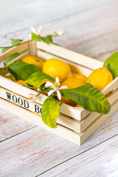 istock Lemons with flowers and leaves 1223240864