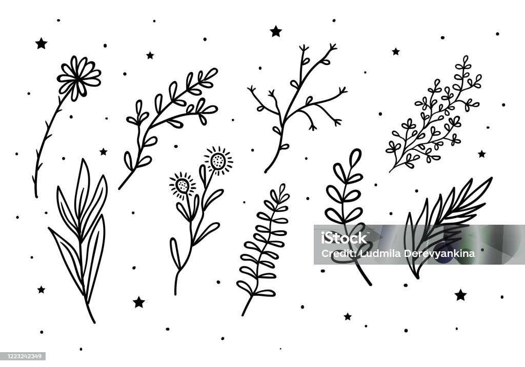 Ilustración de Flores Místicas Y Ramas Y Hojas Con Estrellas Concepto Místico Alquimio Oculto y más Vectores Libres de Derechos de Abstracto - iStock Ilustración de Flores Místicas Y Ramas Y Hojas Con Estrellas Concepto Místico Alquimio Oculto y más Vectores Libres de Derechos de Abstracto - iStock