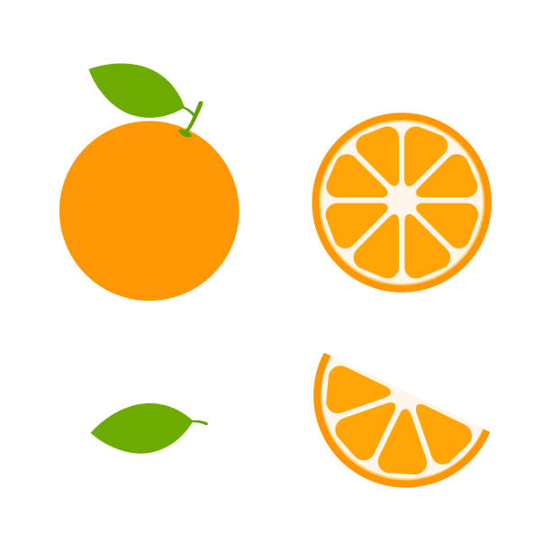 주황색 세트 벡터 아이콘 그림이 흰색으로 격리되어 있습니다. - 오렌지 감귤류 과일 stock illustrations