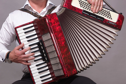 Closeup detail of a man in a white shirt playing the red accordion. Hands close-up