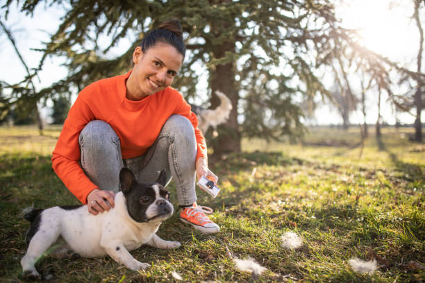 istock A dog enjoying grooming 1223245601