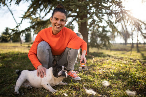 istock A pretty young woman grooming a small dog 1223245604