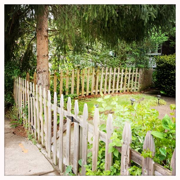 istock Cute Wooden Picket Fence 1223245980