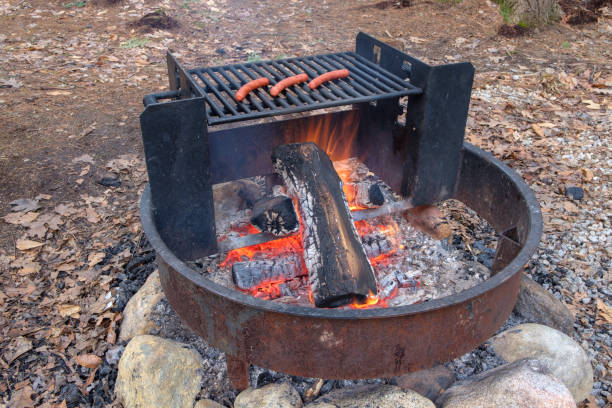 istock Grilling hot dogs over campfire 1223253557