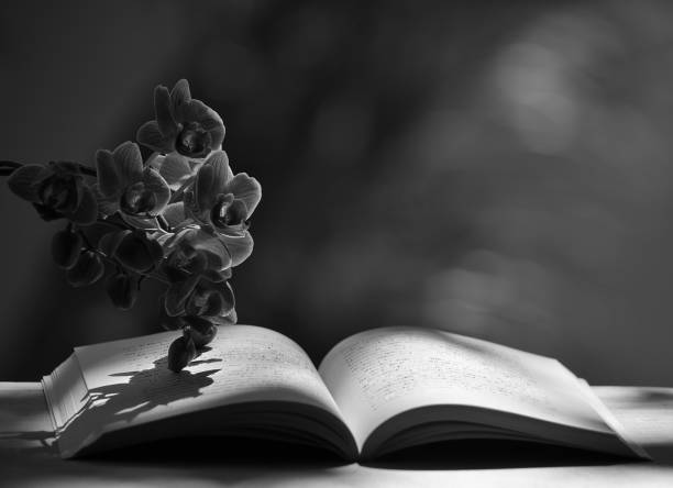 istock Open book and orchid flowers 1223254587