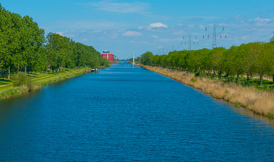 Canal with wild flowers and lush foliage below a blue sky in sunlight in spring, Almere, Flevoland, The Netherlands, May 4, 2020