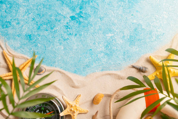 vacation and travel concept, Flat lay top view copy space, exotic concept. Creative layout of sand waves and sea, summer beach background with shell, sea star, compass life preserver and blurred Palm vacaciones y concepto de viaje, flat lay espacio de copia de vista superior, concepto exótico. diseño creativo de las olas de arena y el mar, fondo de playa de verano con concha, estrella de mar, servidor de vida de la brújula y palma borrosa