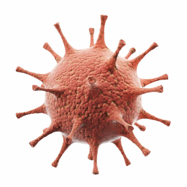 3d ilustracja wirusa bakterii. wirusy powodujące zakażenie w organizmie gospodarza, epidemia choroby wirusowej. - model organism zdjęcia i obrazy z banku zdjęć